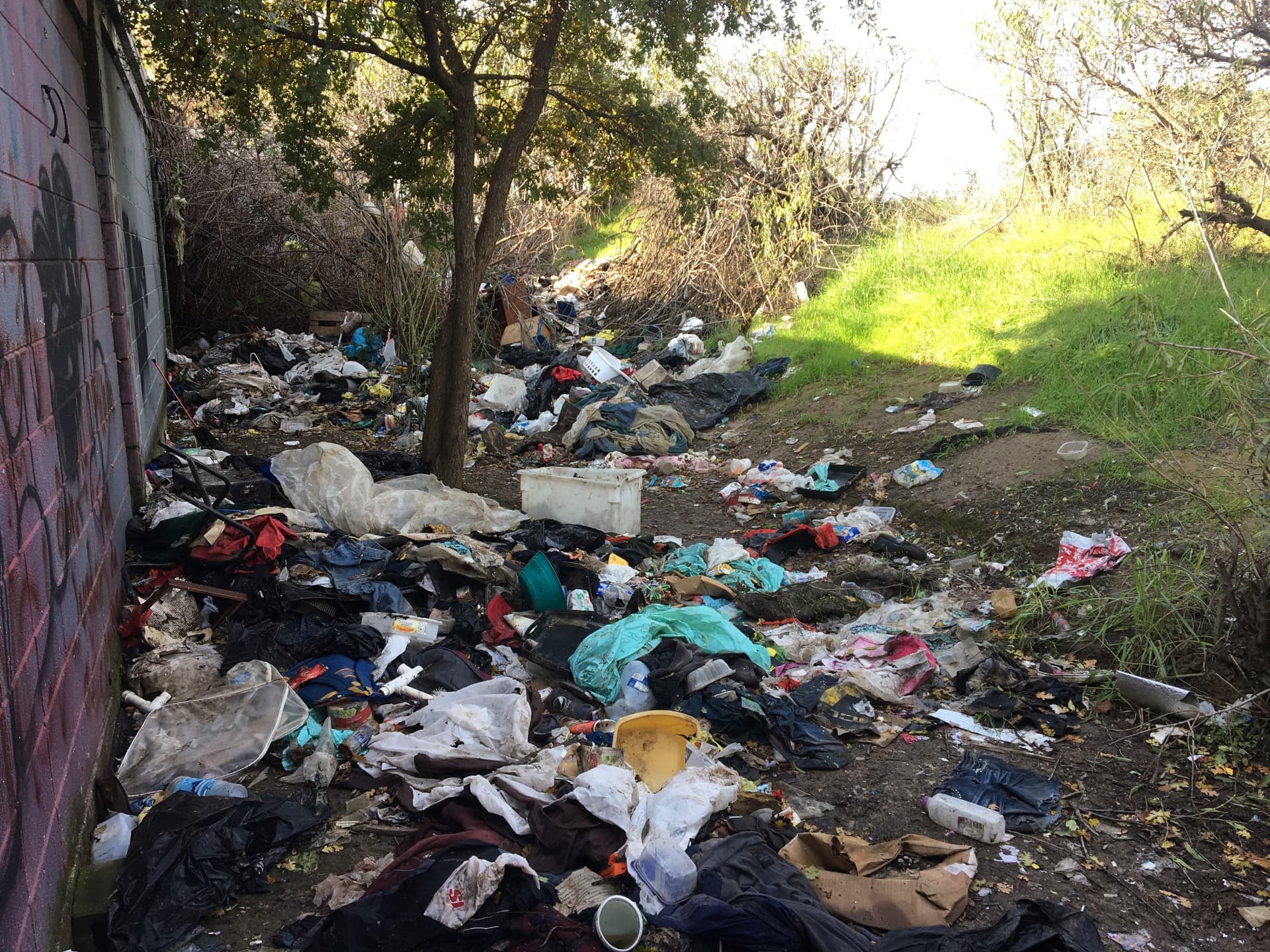Illegal Dumping Removal before Long's Trash Hauling