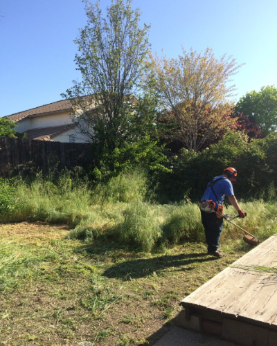 Crew clearing tall grass and weeds with a heavy-duty trimmer