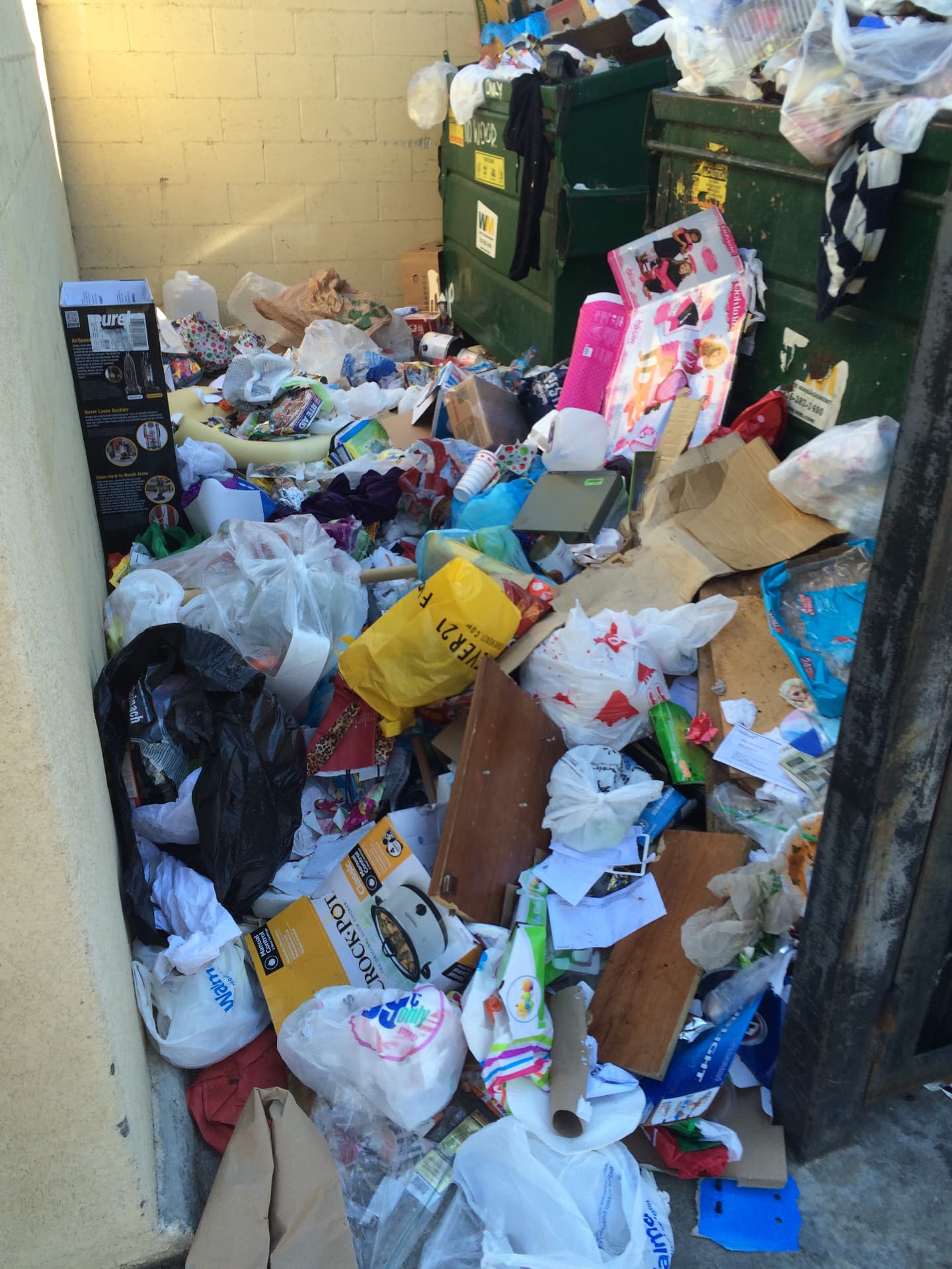 Commercial Trash Enclosure before Long's Trash Hauling